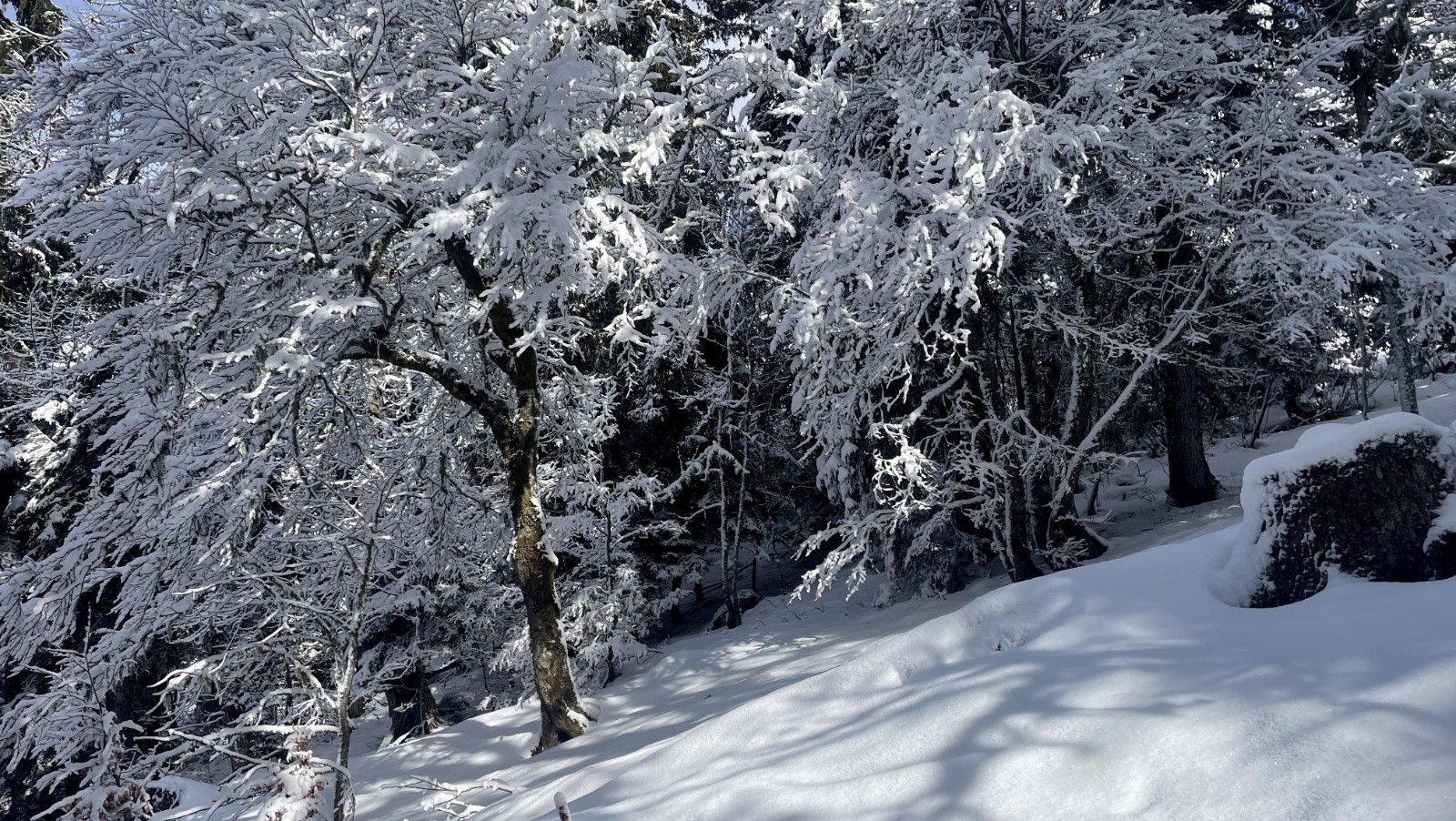  Paysage d’hiver bis