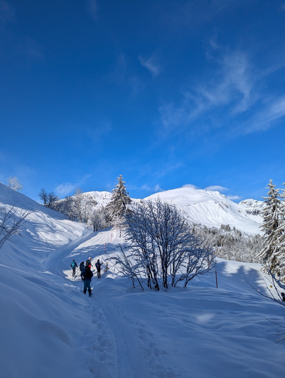 Sortie de la forêt, enfin la vue sur l'objectif