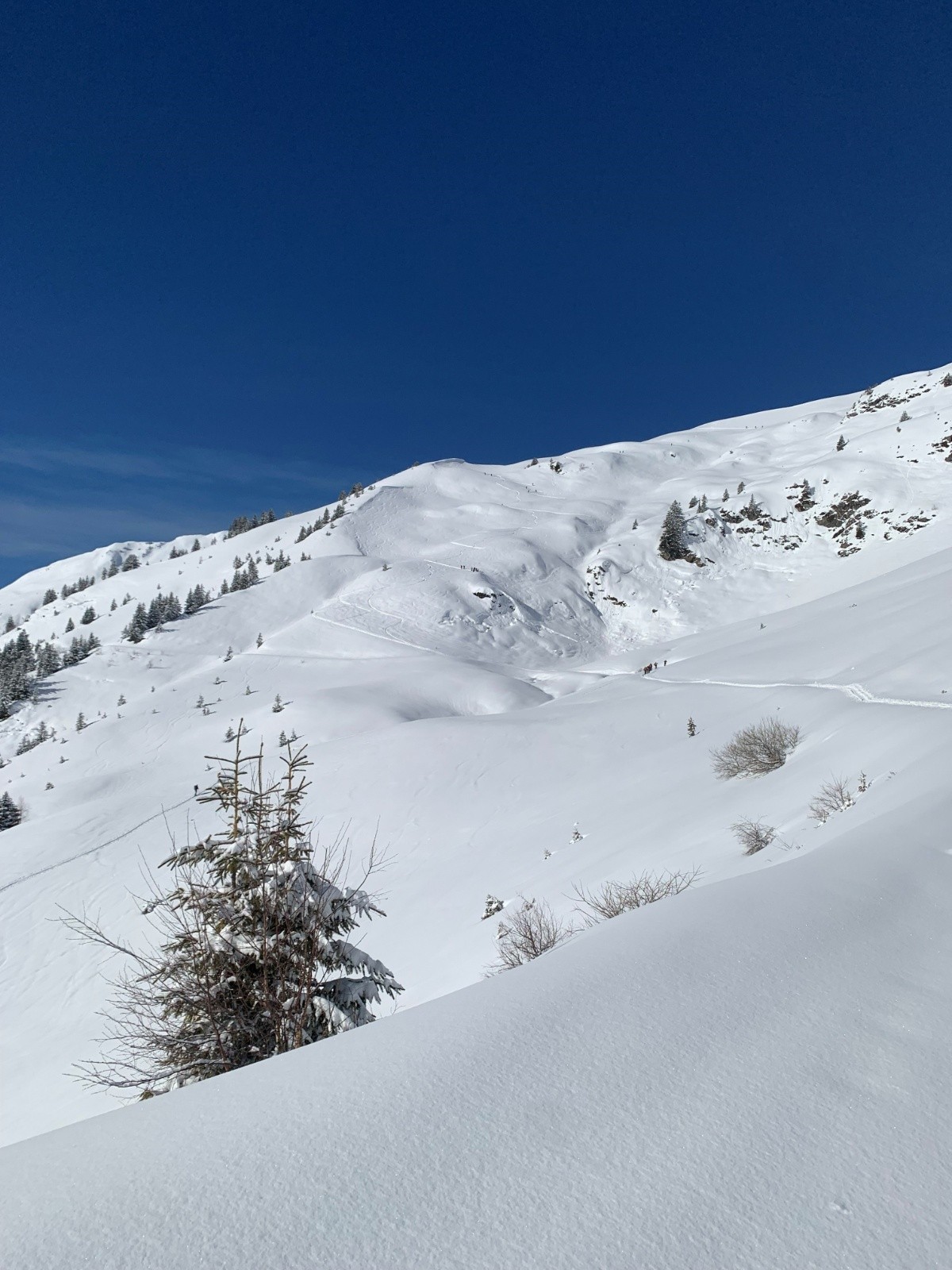  Aux environs du Chalet du Soufflet, avant la montée jusqu'au lac du même nom