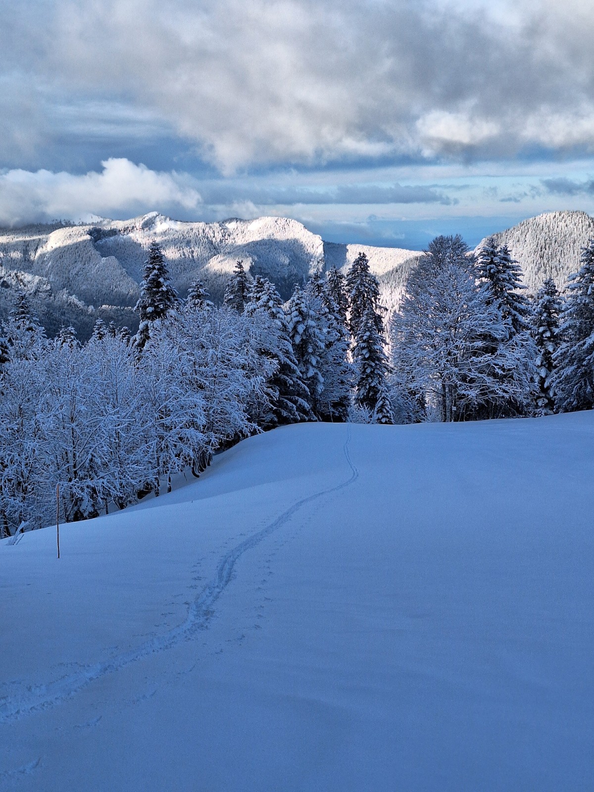 MontéeCreux de la neige 