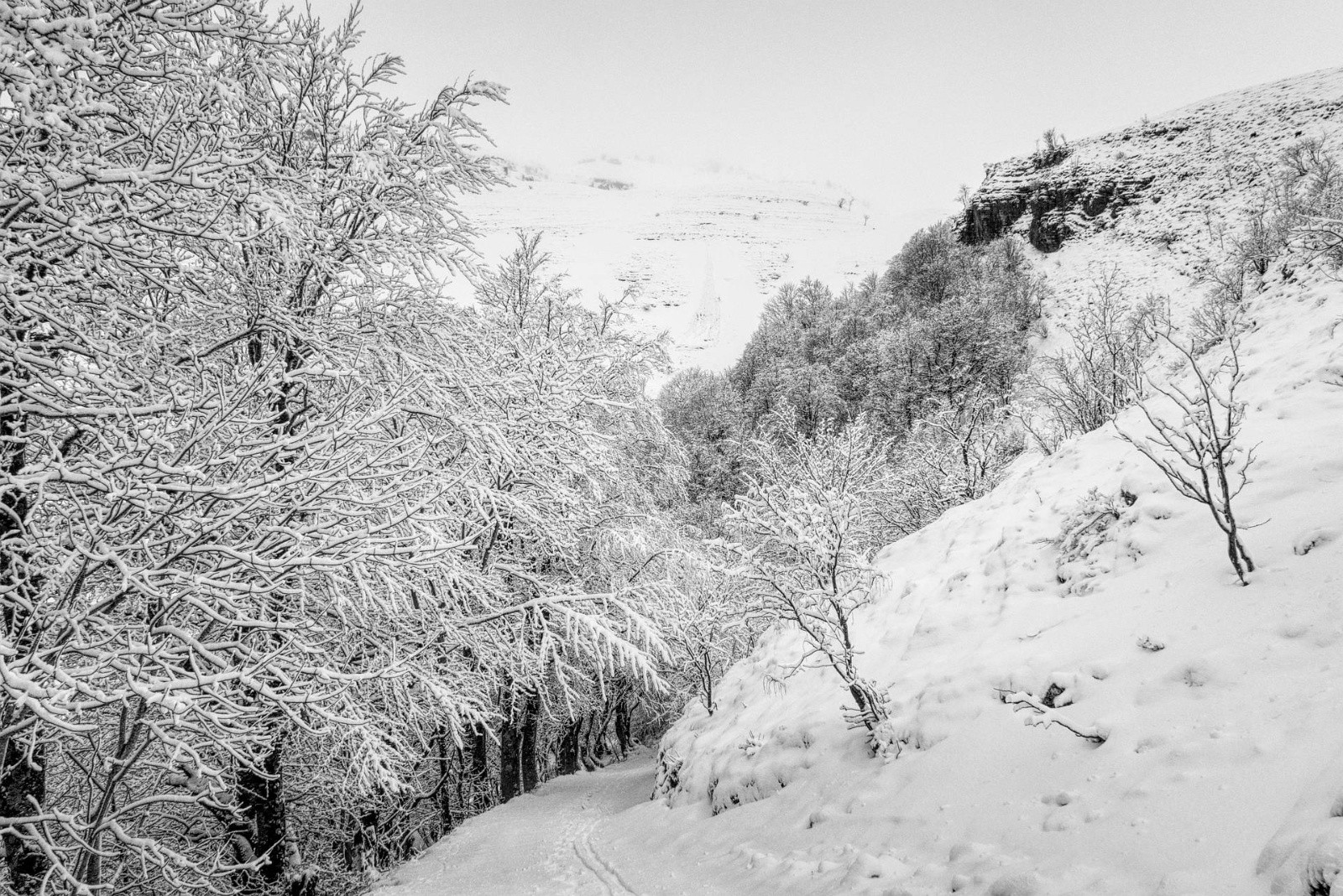 chemin caillouteux 