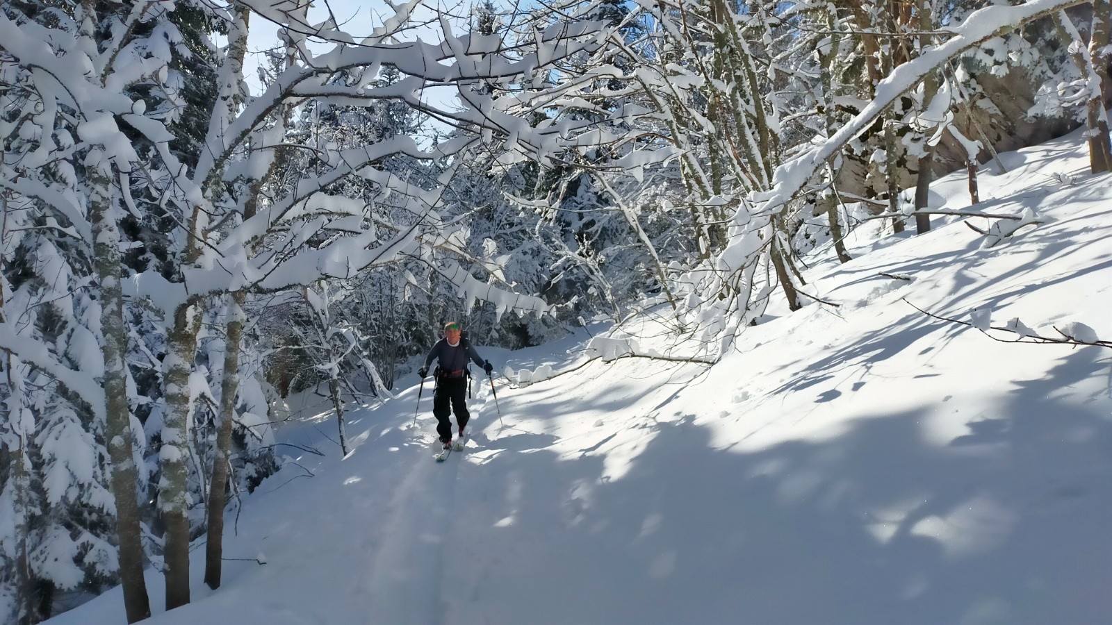 &nbsp;Belle la forêt&nbsp;
