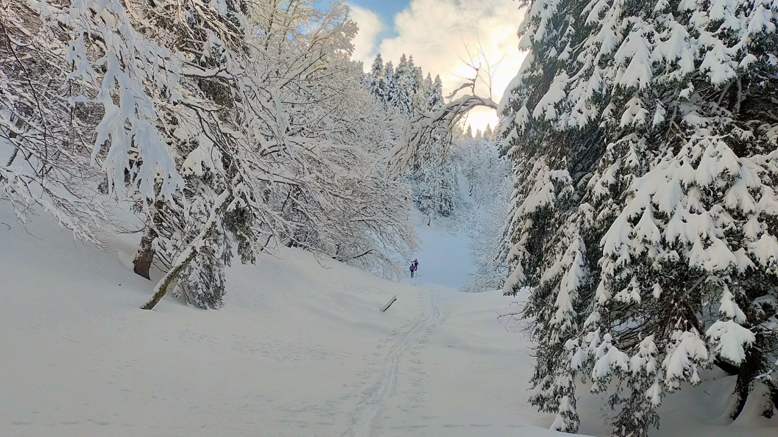 &nbsp;Remontée de la fontaine de l'Oursière&nbsp;