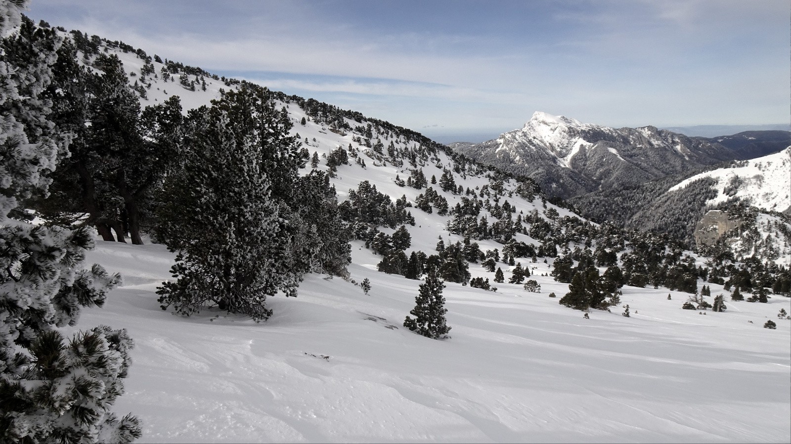 La petite forêt peu pentue mais bien skiante