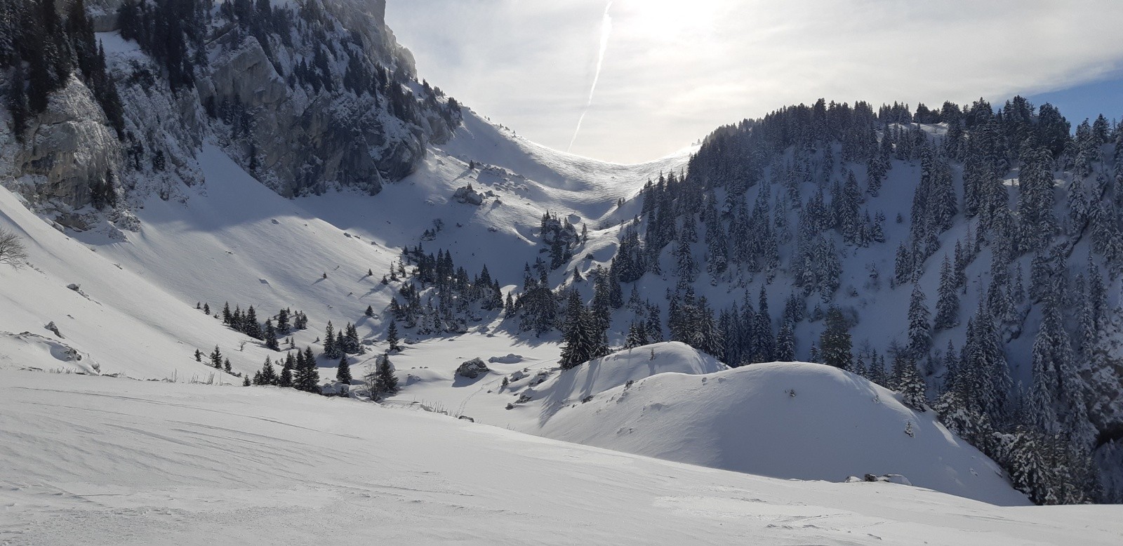  Soufflée et cartonnée hors forêt