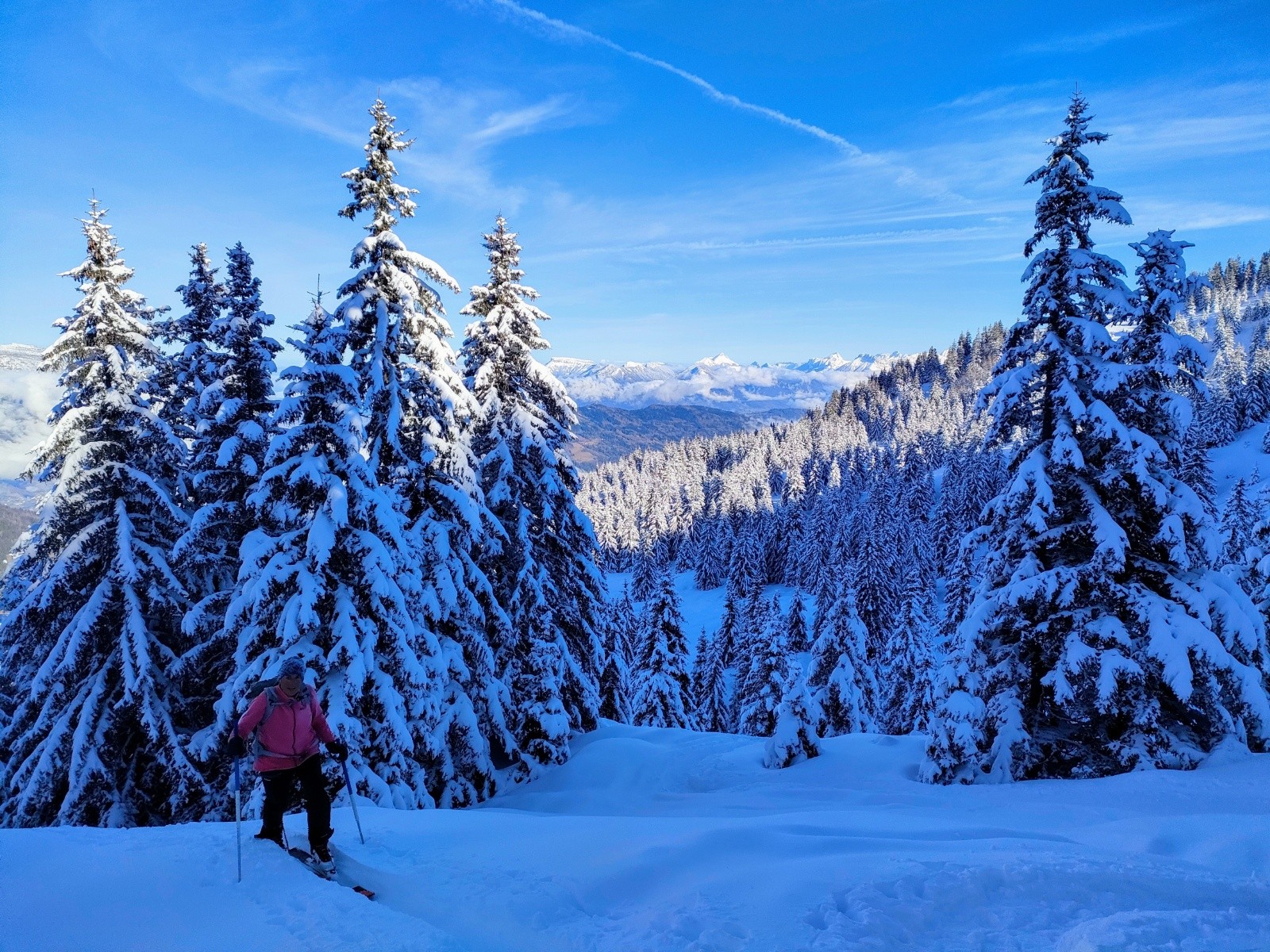 Départ à la fraiche