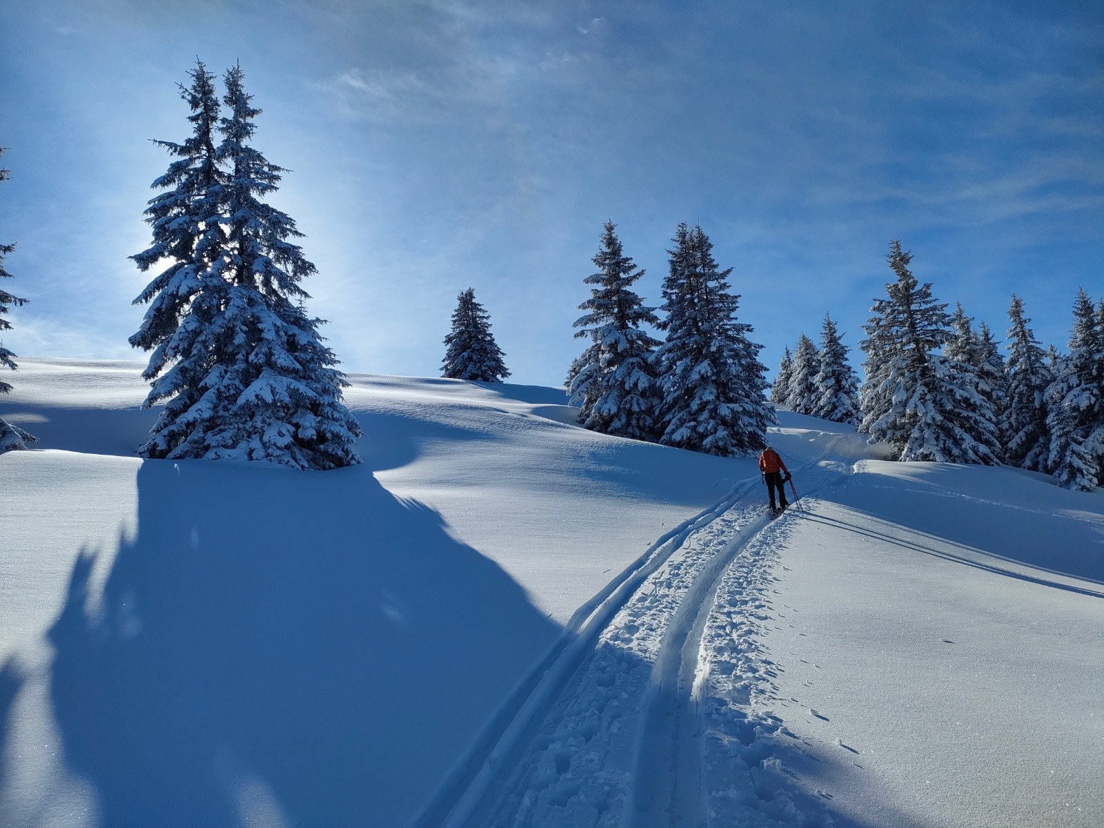 Suivre la trace&nbsp;&nbsp;