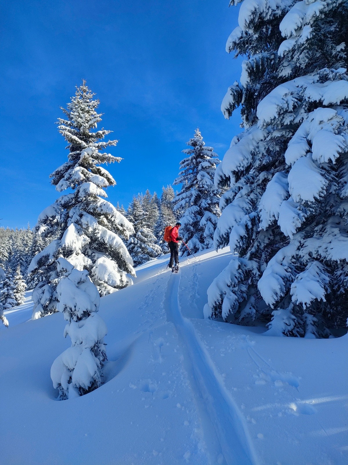 C'est trop bon, Il faut remonter&nbsp;