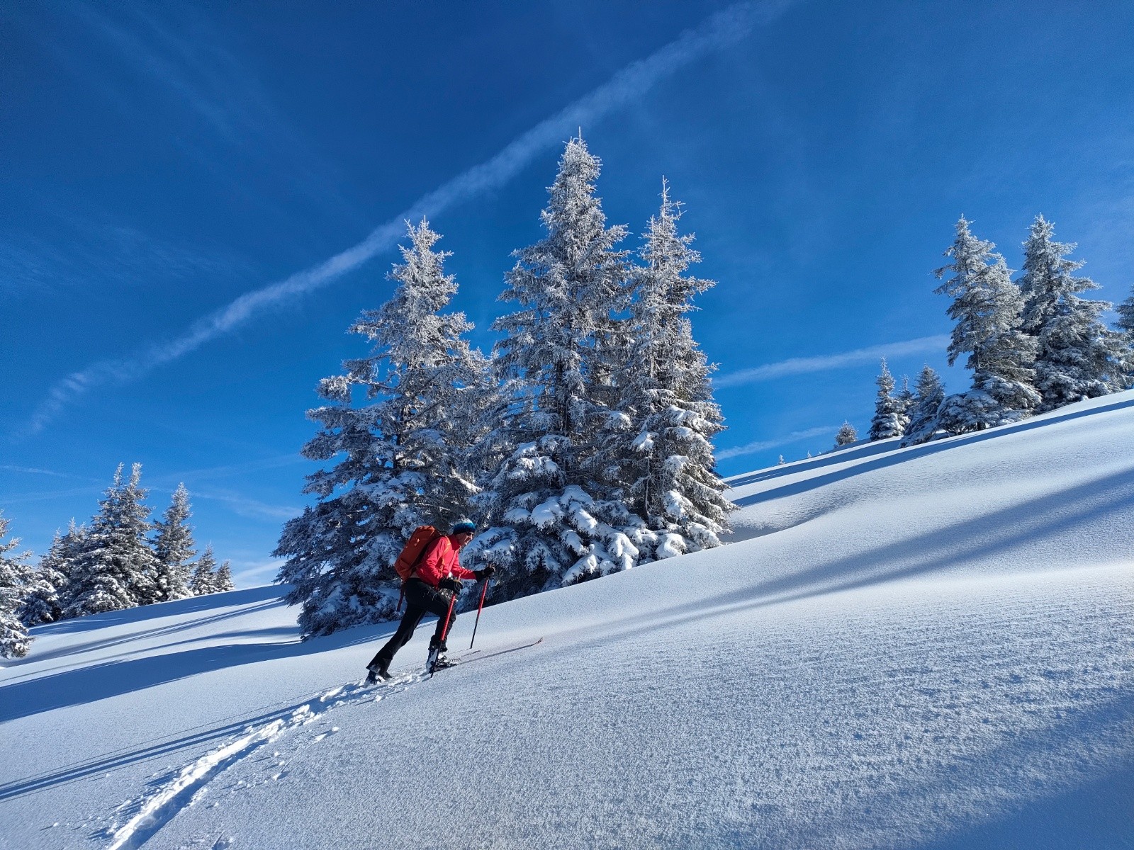 A la trace&nbsp;&nbsp;