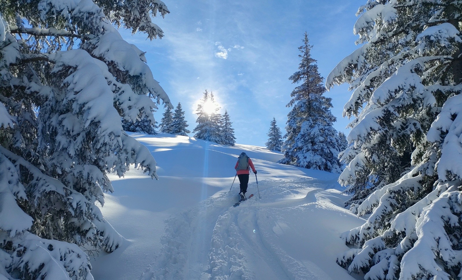 Vers le soleil qui réchauffe&nbsp;&nbsp;