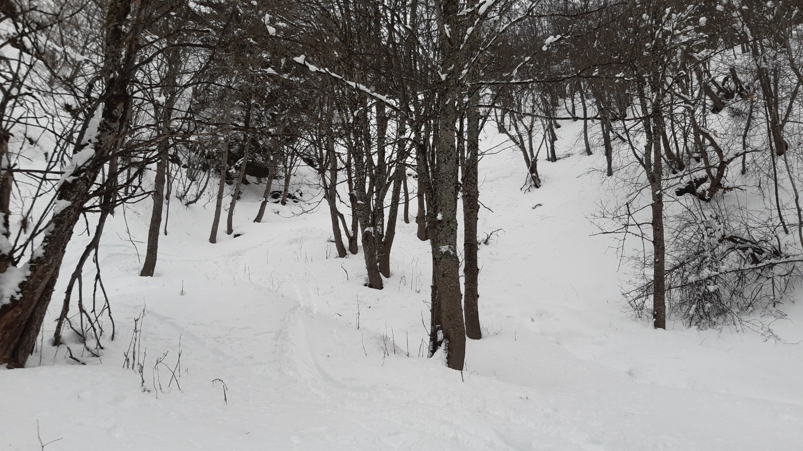 On se croirait en Chartreuse 😉