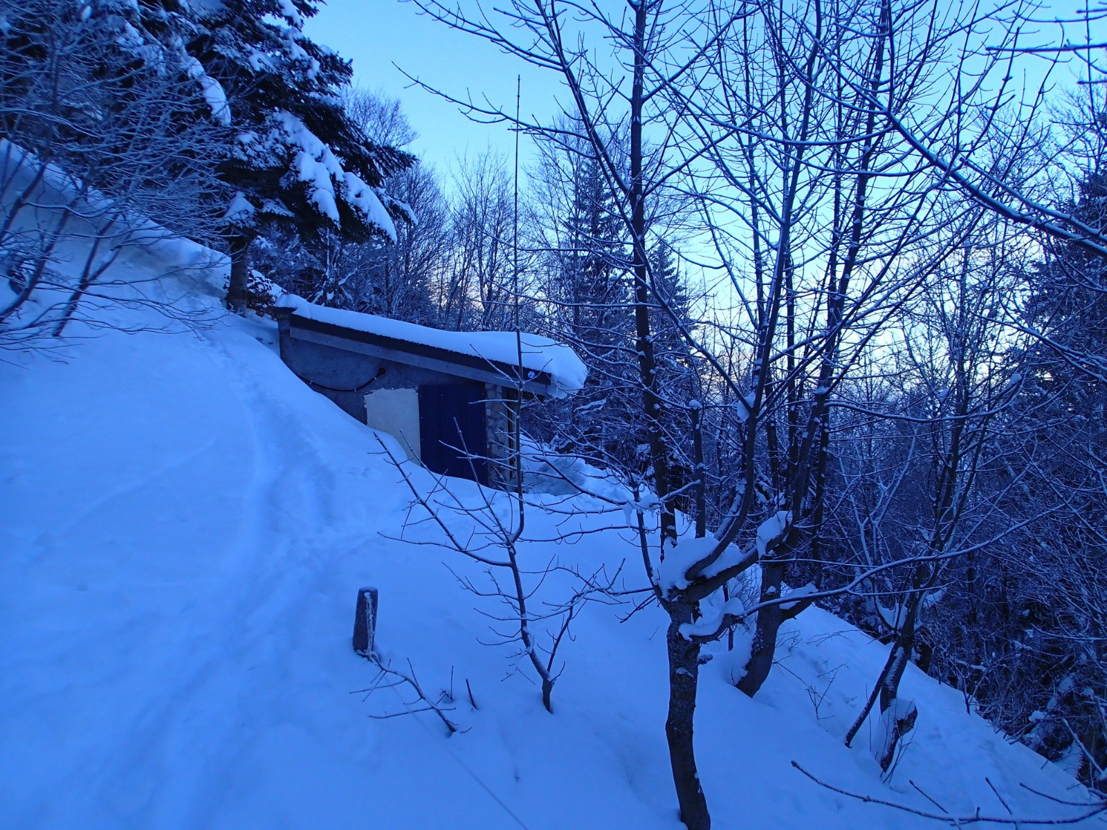 Enneigement aux Bachassons