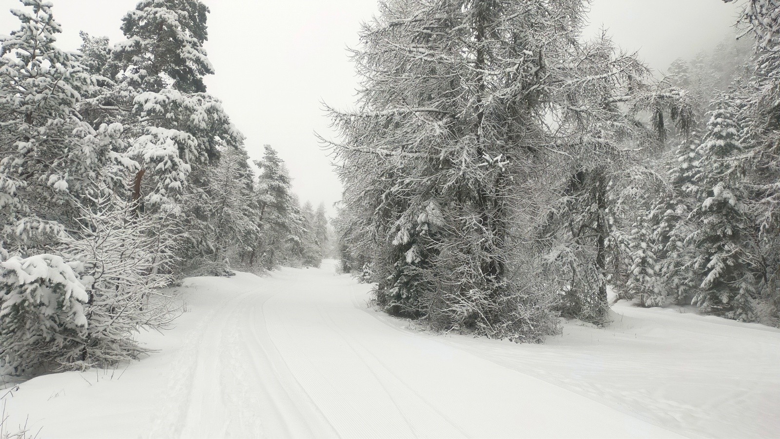  Pistes de fond a départ, agréables pour le retour 