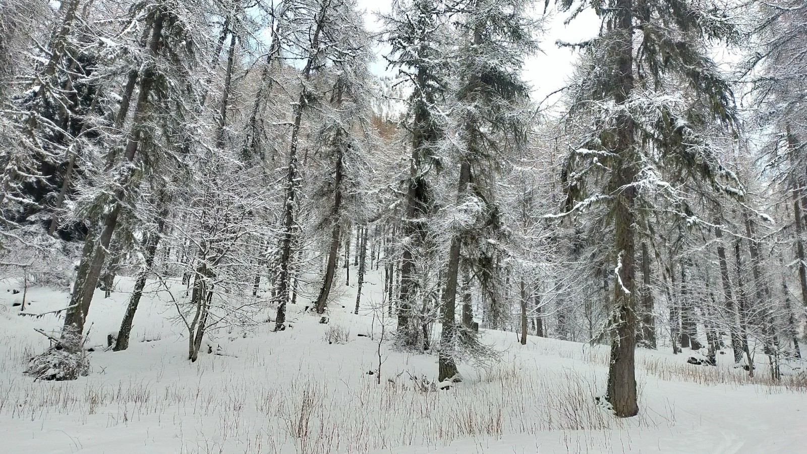  Mélézin skiable mais c'est juste 