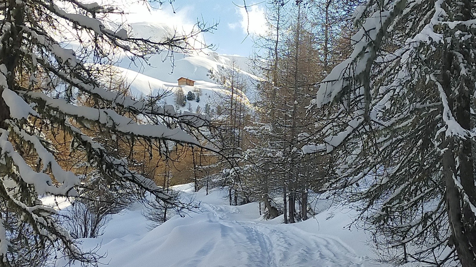  En montant pistes forestières enneigées mais les cailloux ne sont pas loin 