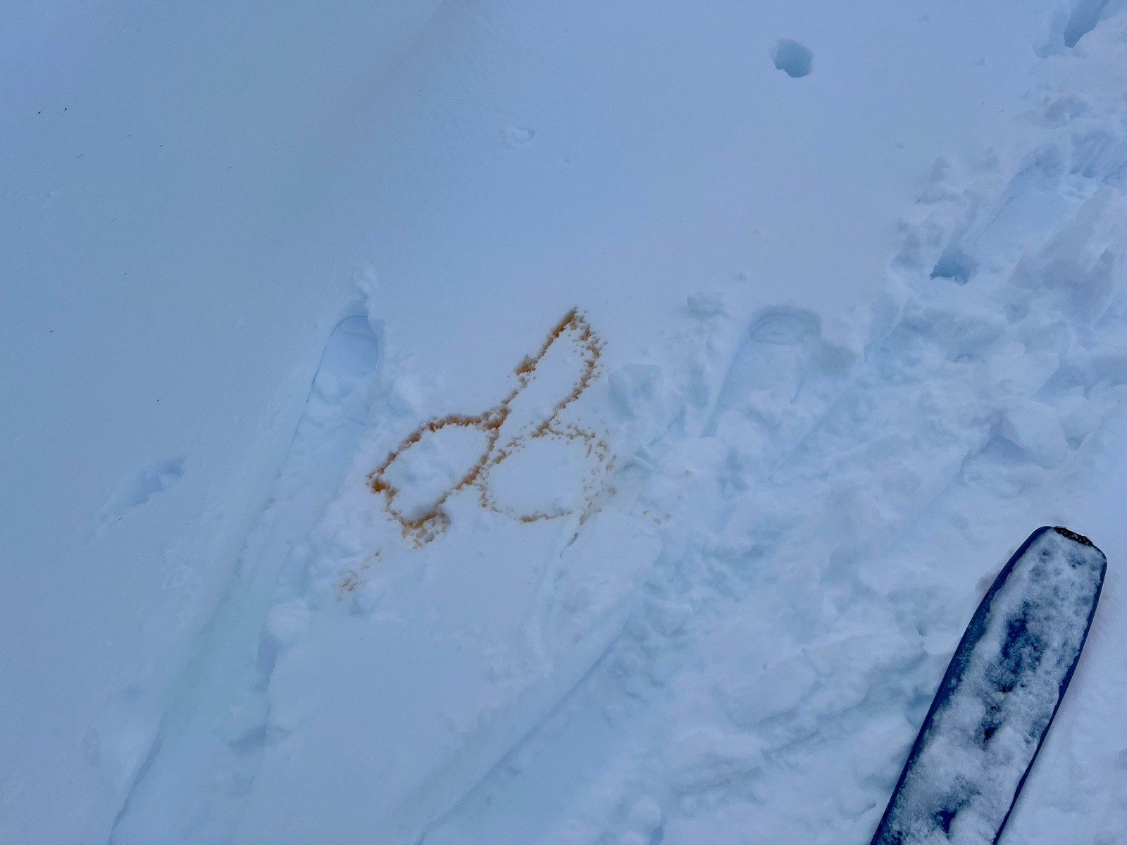 J'espère que çà a fini sur Instagram...