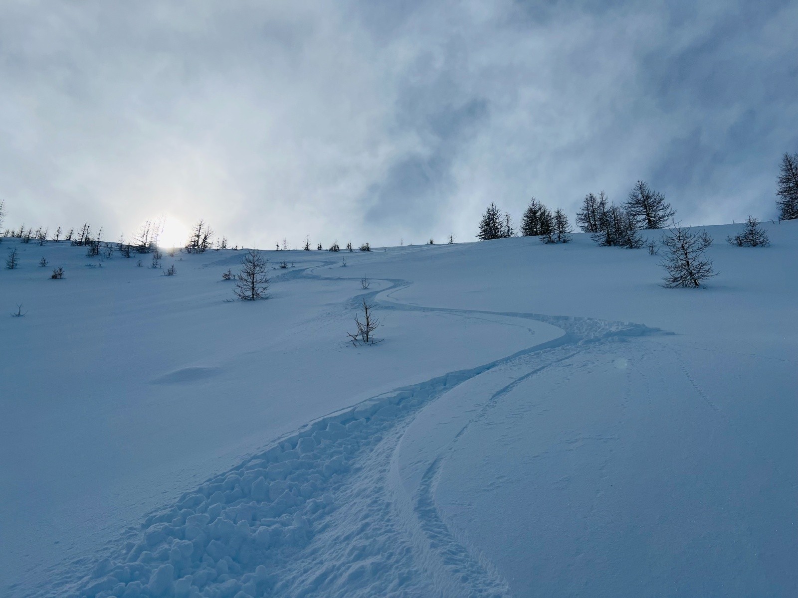 Top poudre au sommet de carlé