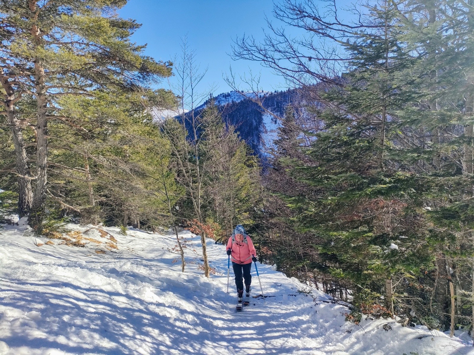  Sur le sentier enneigé 