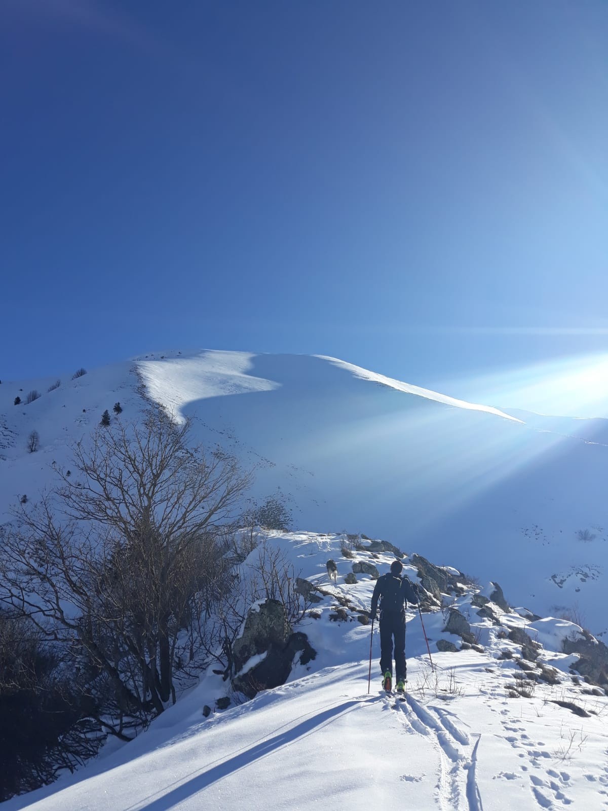 Le haut de combe Merdière 