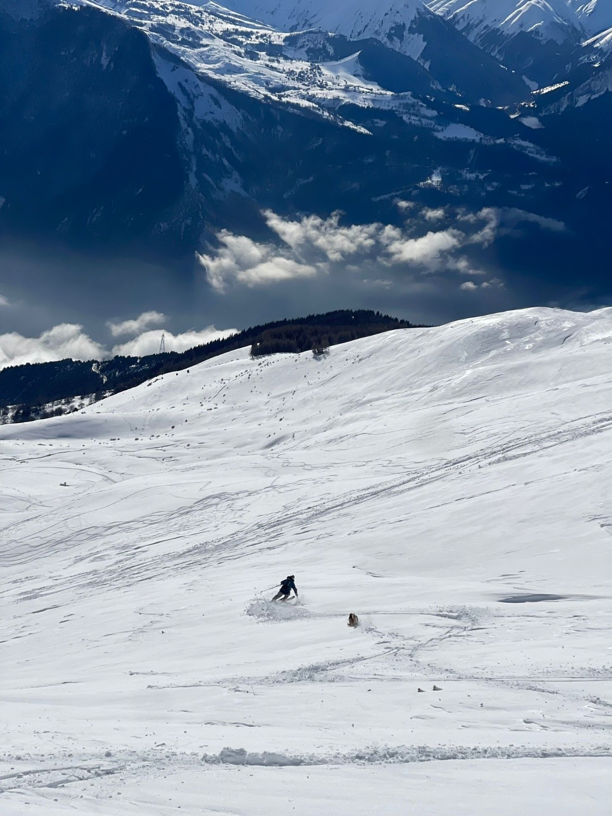 course du chien et du skieur !