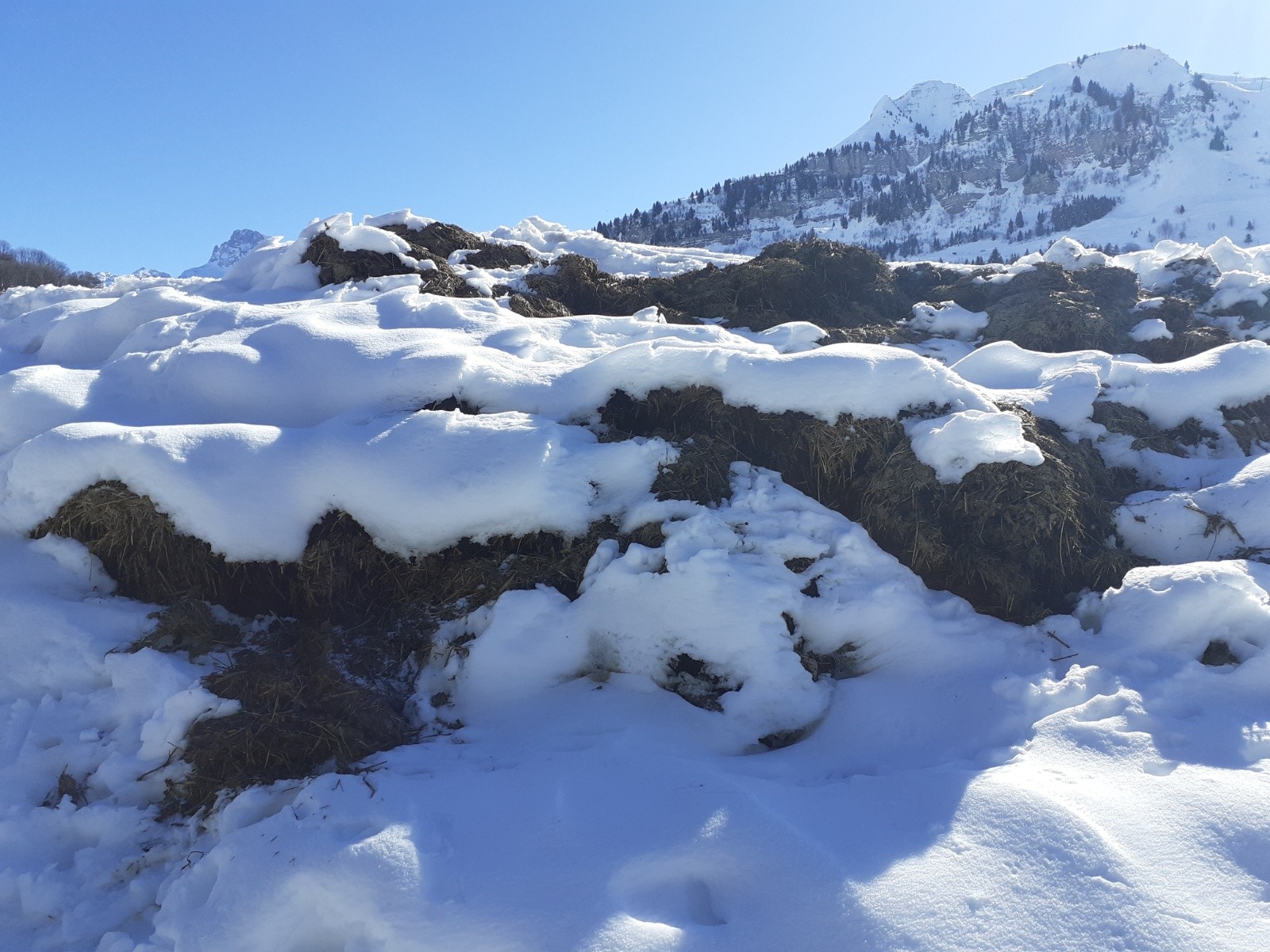 On ne stocke pas que de la neige  au Grand Bornand