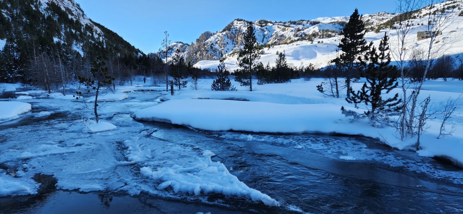  Frigo dans la vallée des fonts de Cervières 