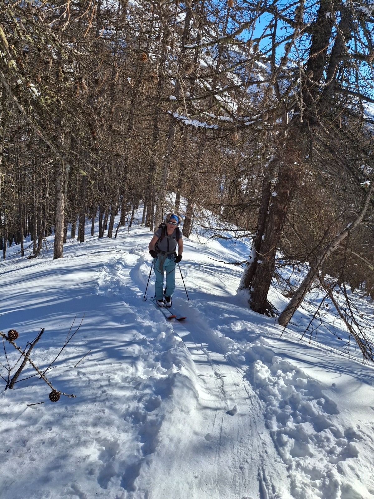 Montée dans la forêt 