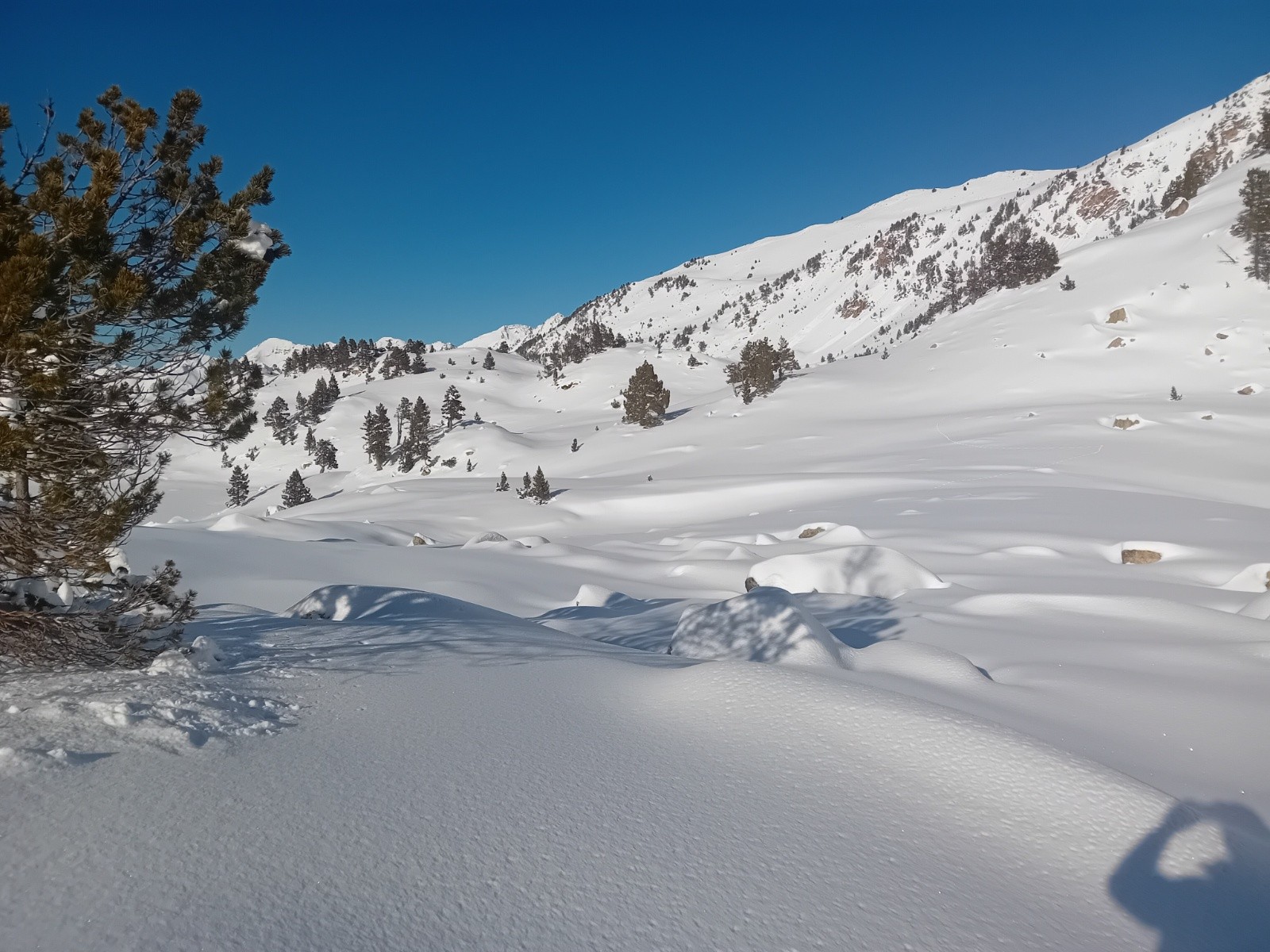 Vallée des Coubous immaculée