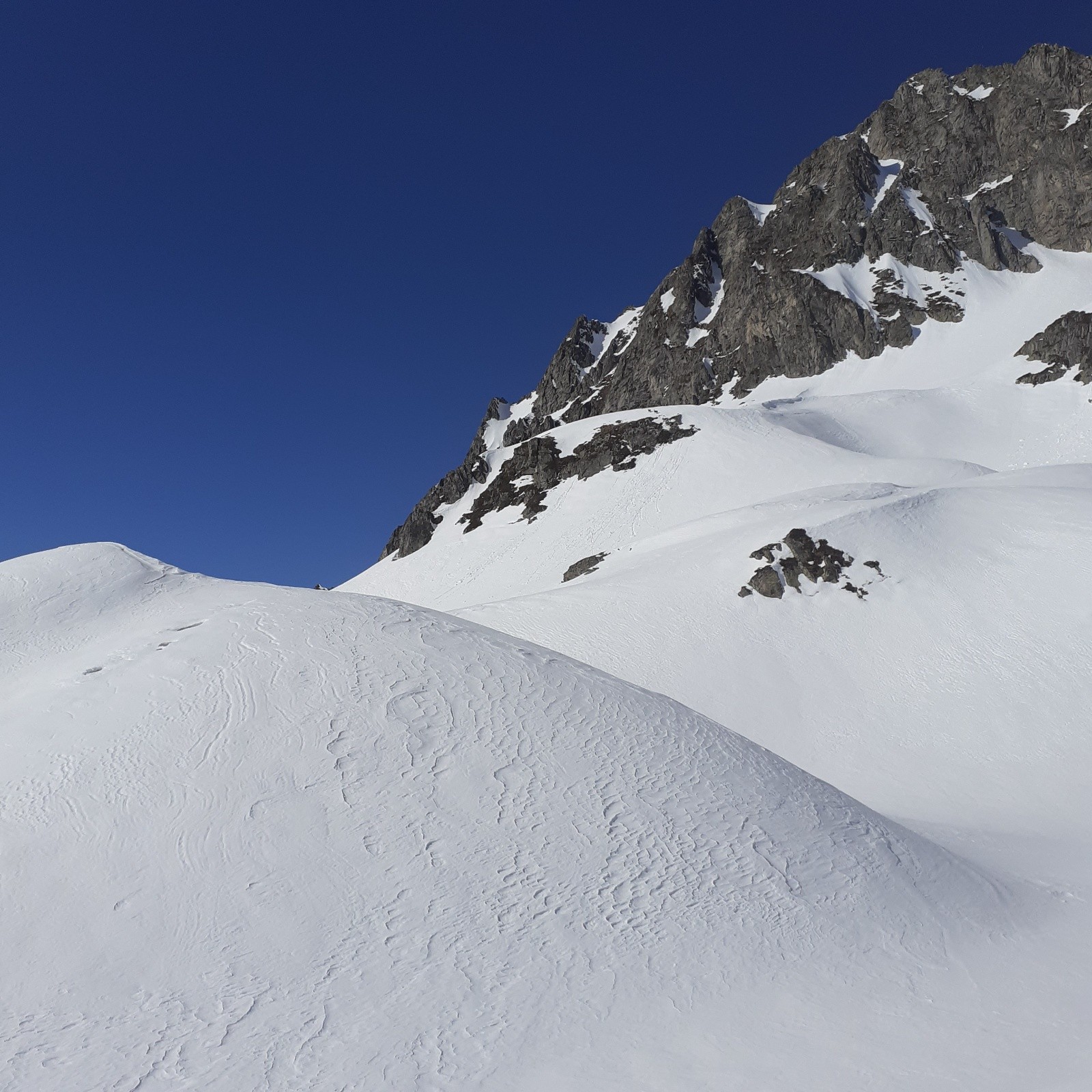 Sous le regard des chamois