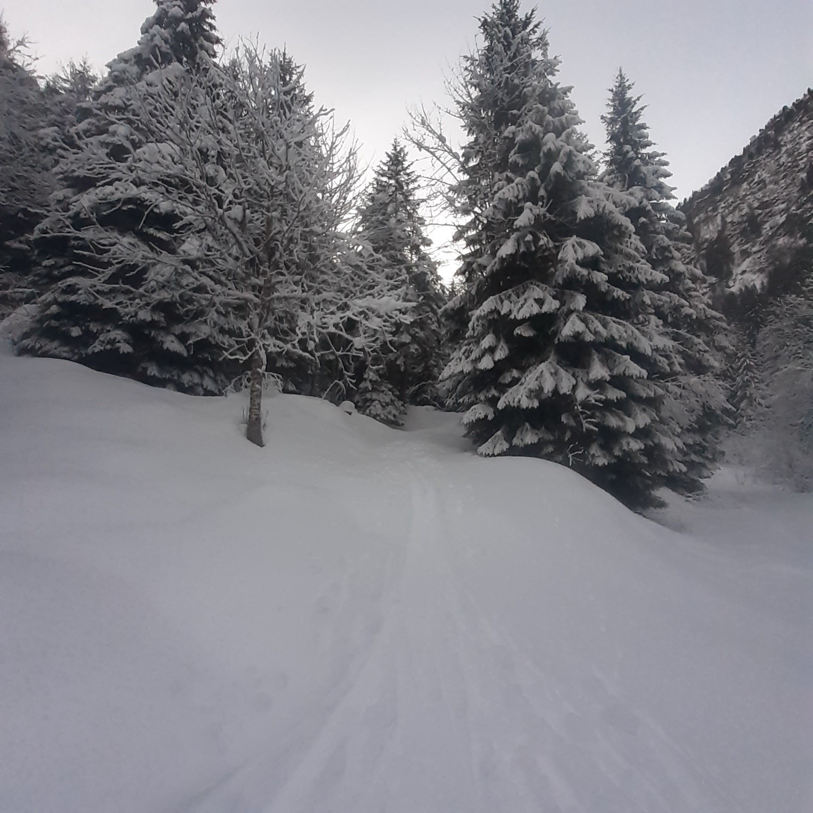Le jour se lève près du Plan de l'Ours