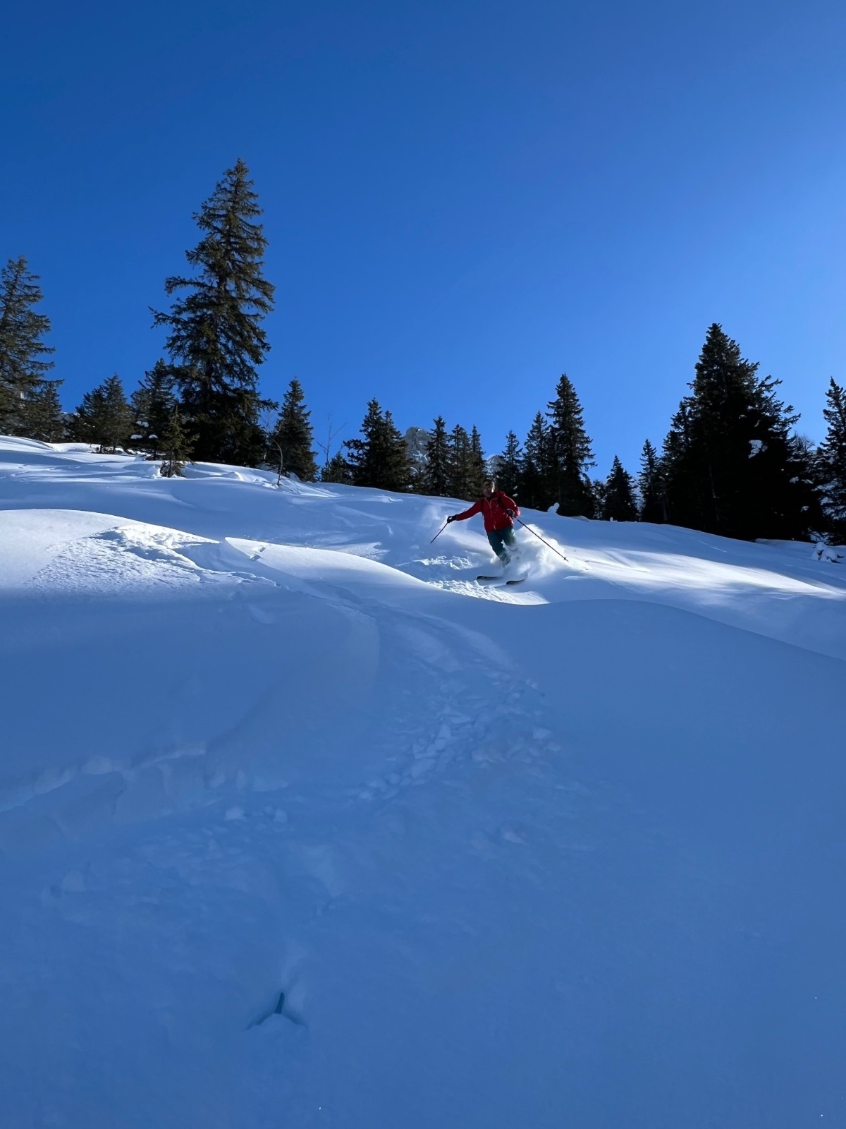 plus on descend, plus la poudre est profonde 