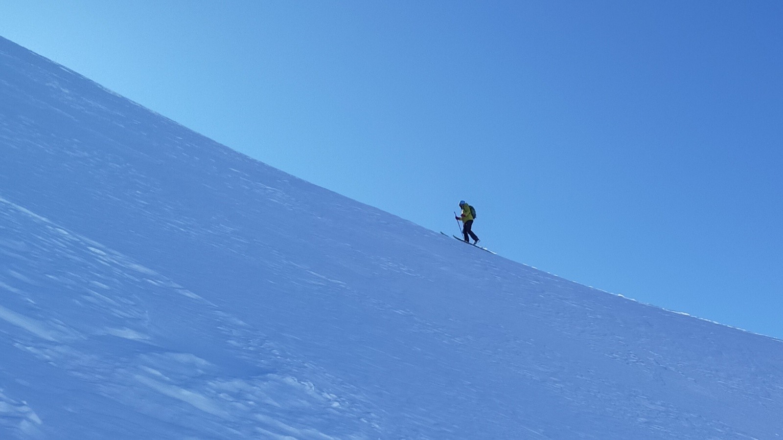  Bige à la trace, comme d'hab 