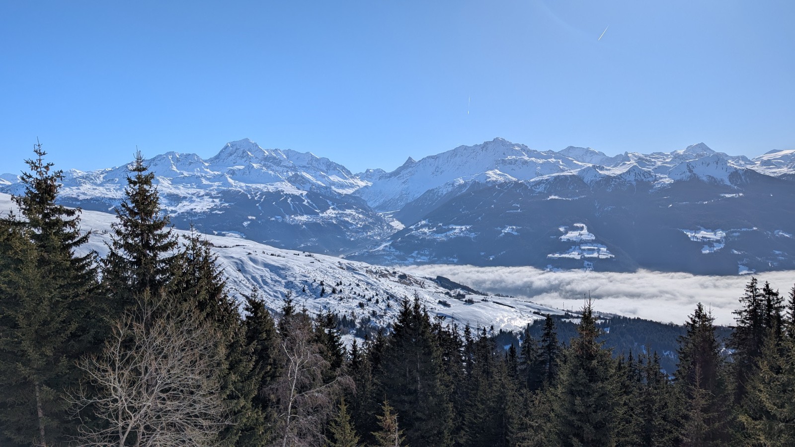 Vallée depuis la forêt