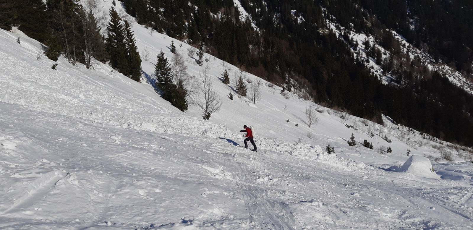 &nbsp;Sortie de la Forêt