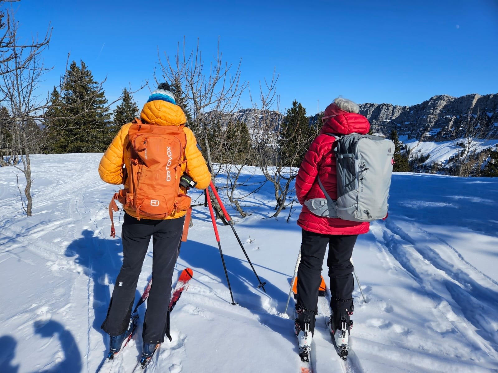 En admirant les Lances de Malissard nous concluons sur la raréfaction de la neige 