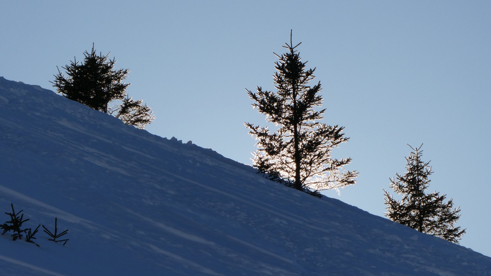  Faut pas aller très loin pour connaître l’illumination !