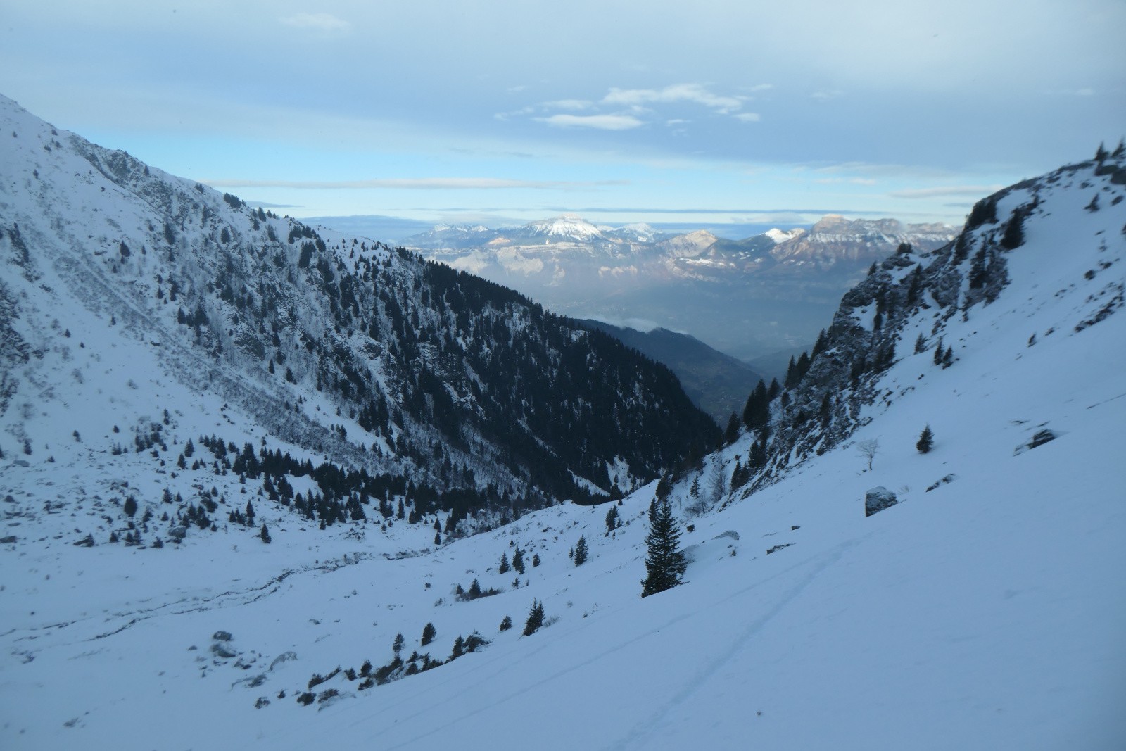 Chartreuse archi sèche :( 
