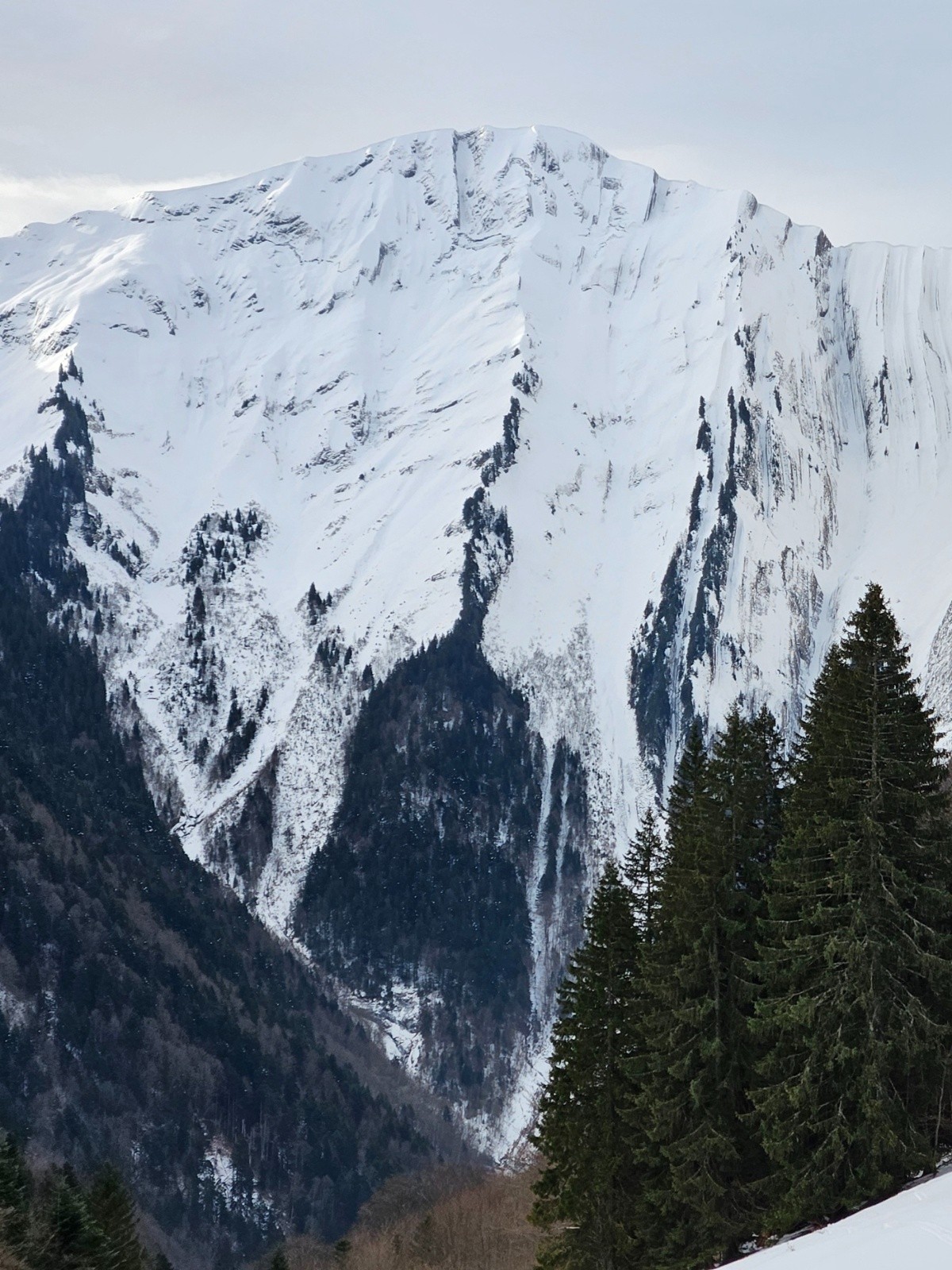 Impressionnante face nord de l'Armenaz skiée la semaine passée.