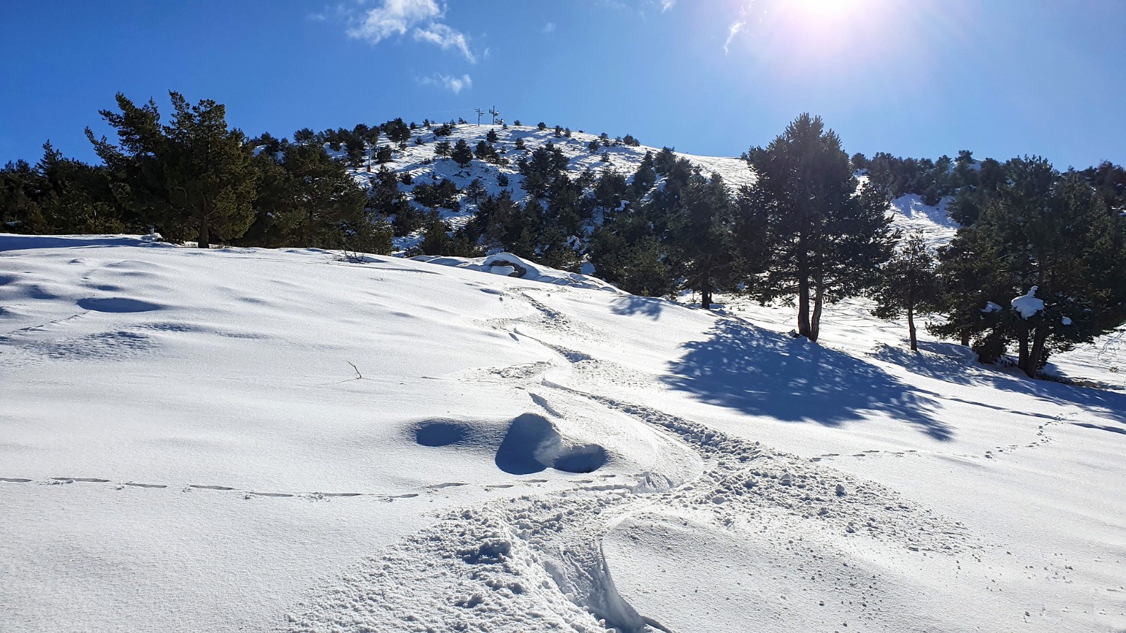 Très bonne neige 