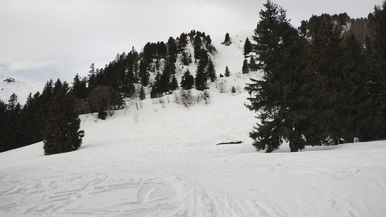 Sous la Croix d'Arpingon 