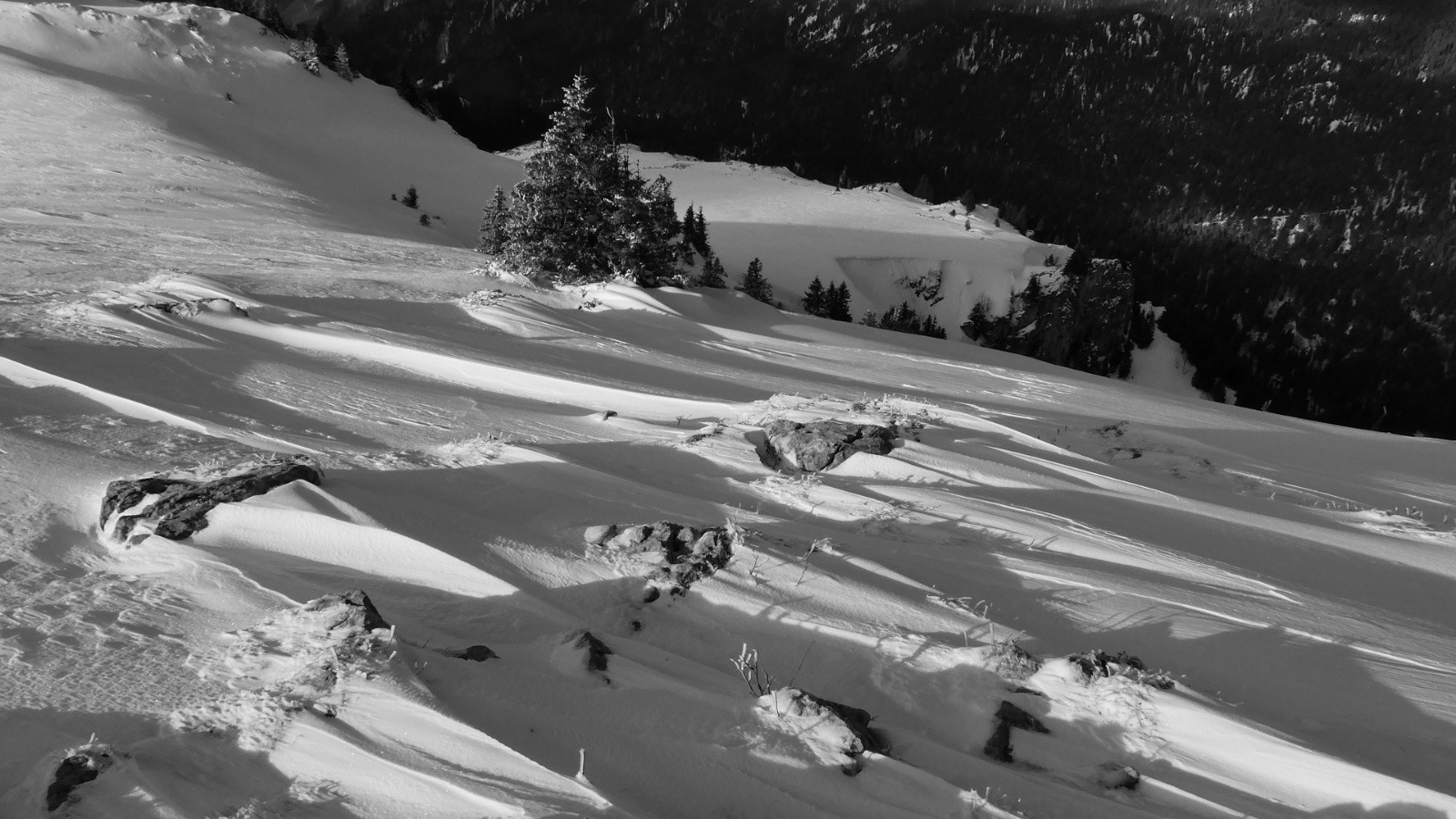 &nbsp;Sastrugis côté W du sommet