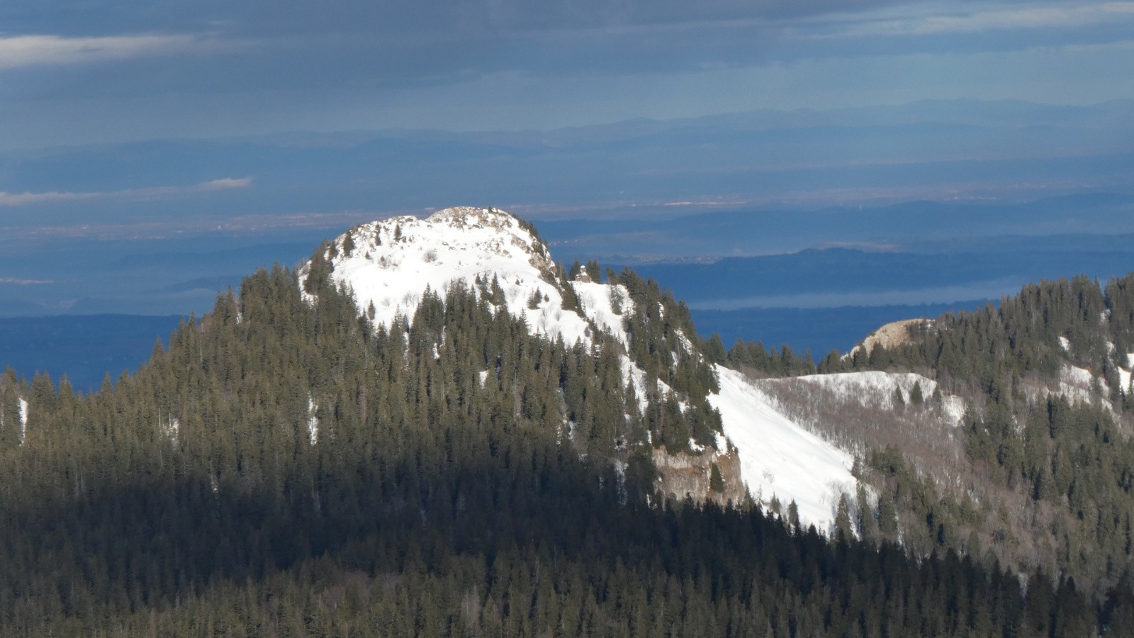 &nbsp;Zoom sur la Petite Vache