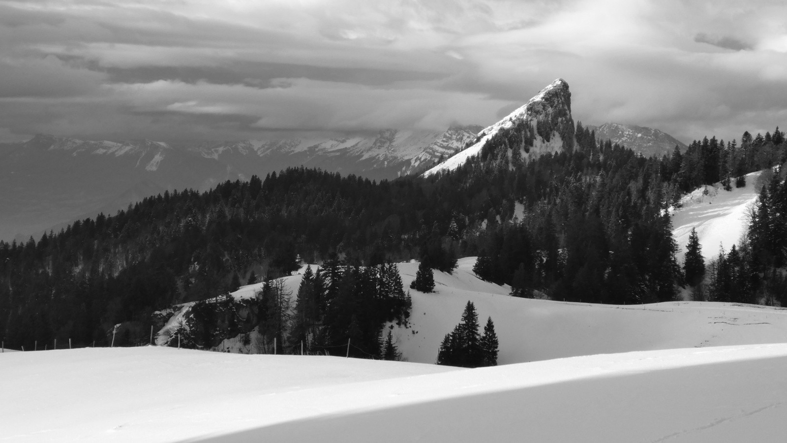 &nbsp;La Pinéa (un petit Doigt de Dieu)