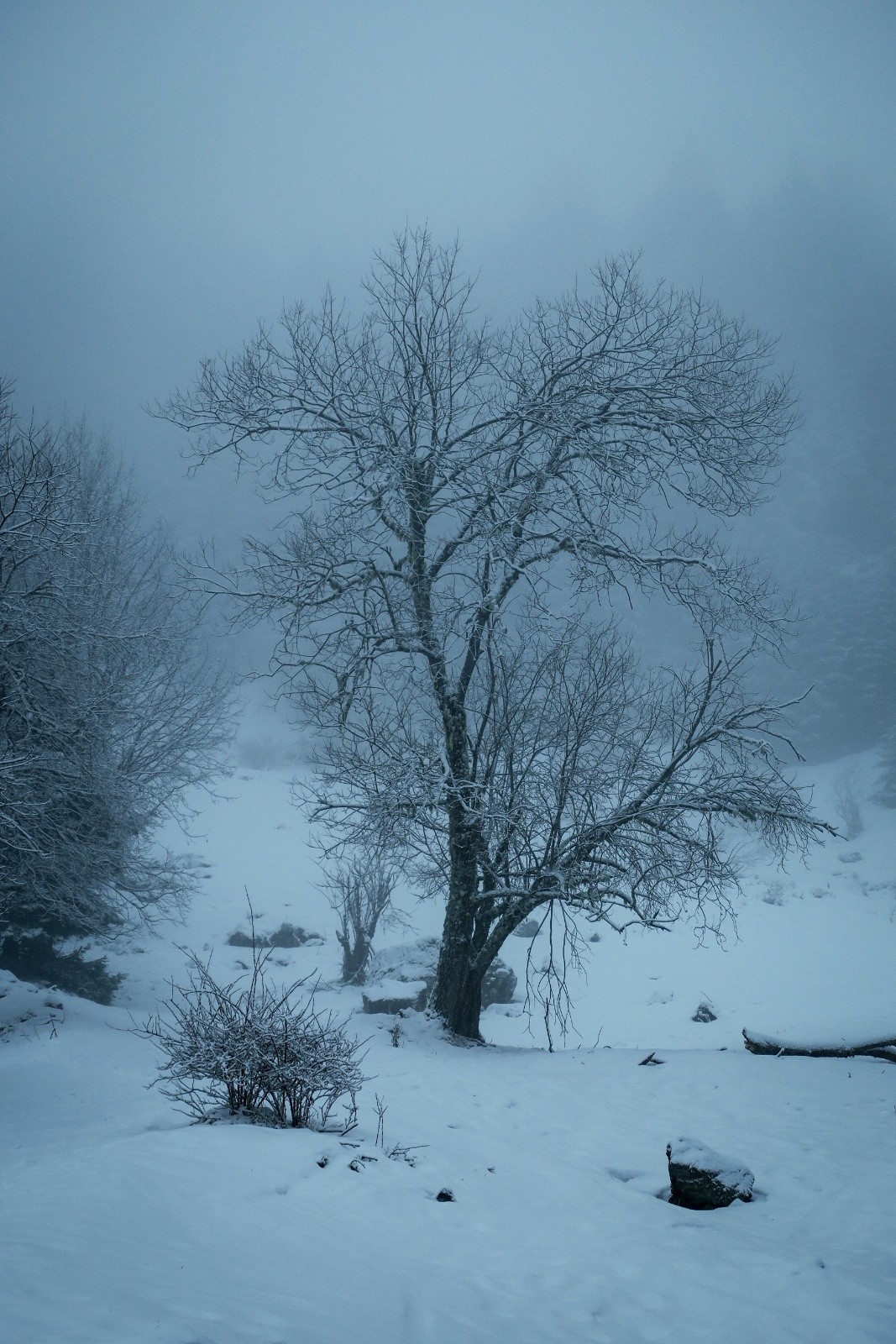 Sculpture hivernale 