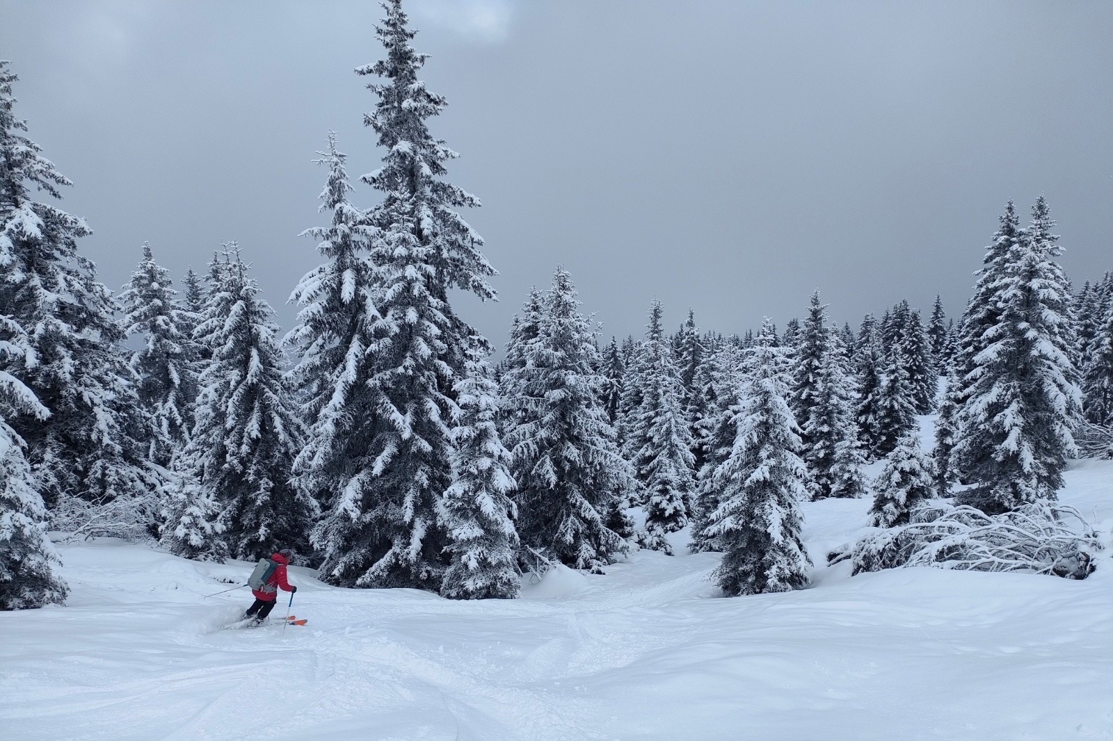 Exquise même&nbsp;&nbsp;