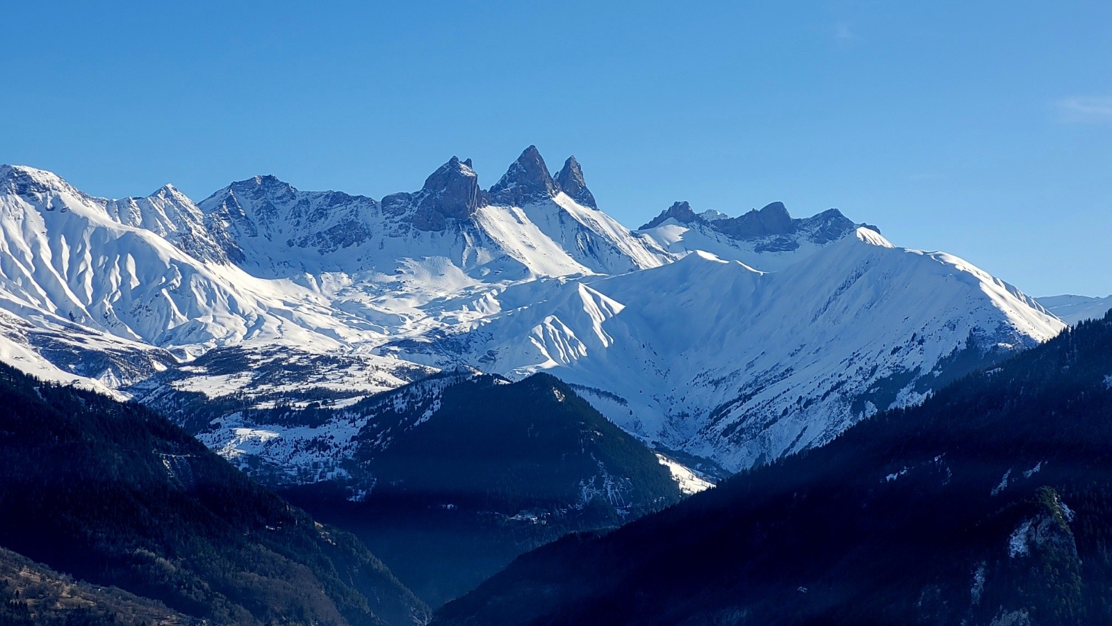 Mâchoire envoûtante 