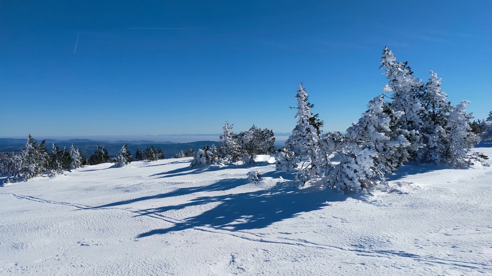  Entre les 2 sommets du Mézenc, vue vers l'E, les Alpes  