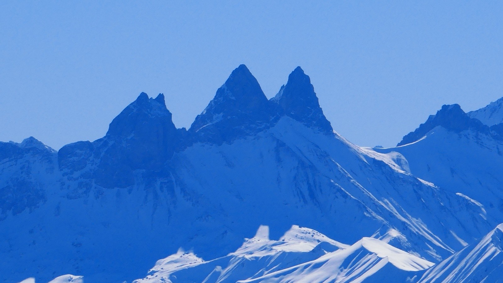 Mes aiguilles adorées!