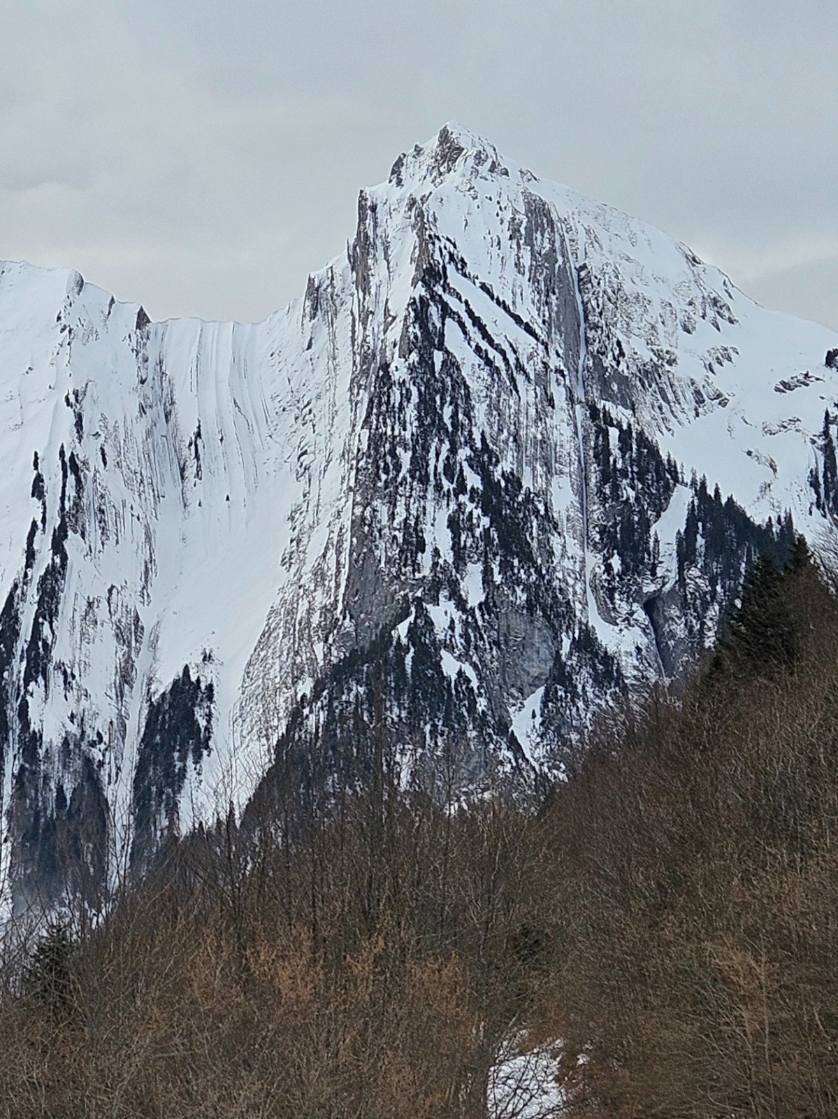 La face nord du Pécloz vue de l'alpage d'Orgeval, une semaine avant ma descente.