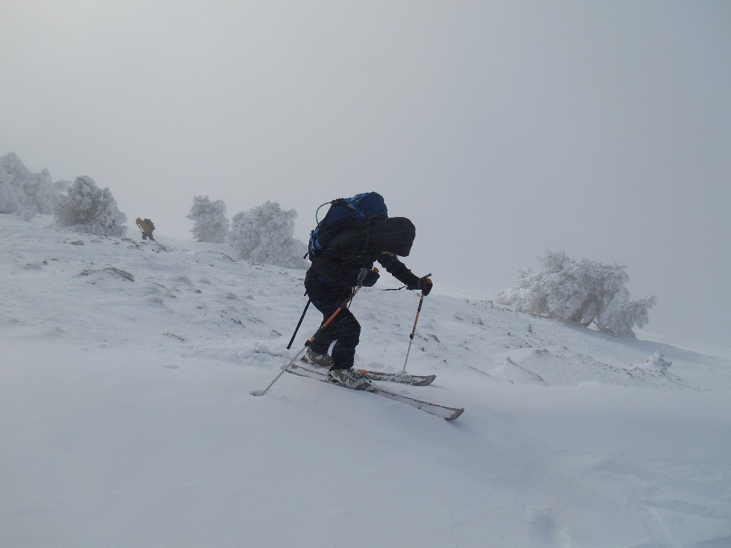Aujourd'hui il y avait du brouillard assez souvent au sommet. Par contre, il n'y avait personne (en tout cas pas vu). Sur cette photo, c'était l'hiver, aujourd'hui c'était le printemps